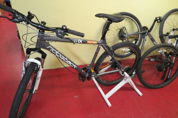 ridgeback-stationary